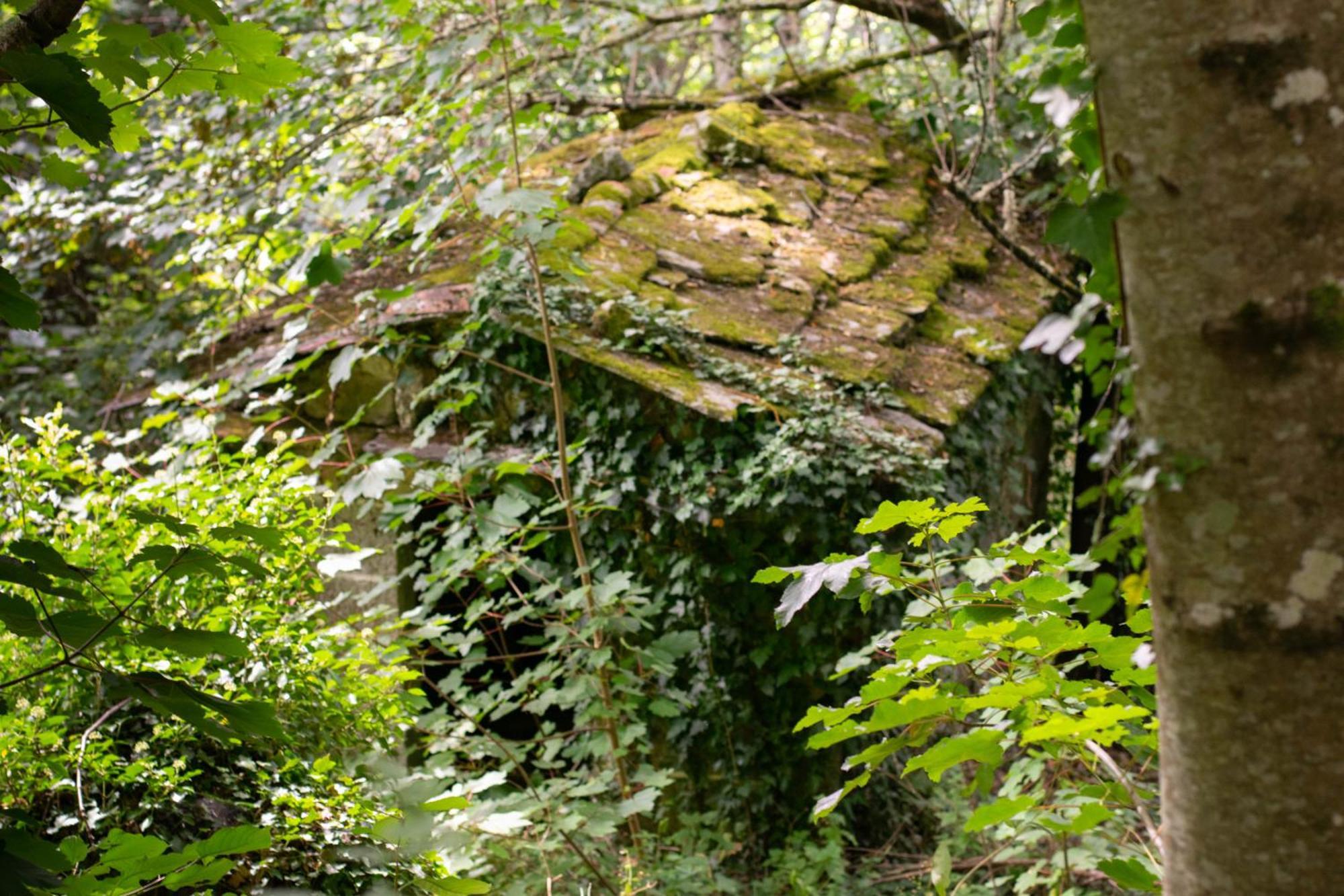 Villa Ecolagar O Barqueiro Pantón Esterno foto